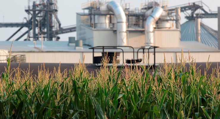 Biofuel Economic Viability and Market Trends