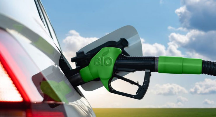 The Environmental Impact and Sustainability of Biofuels: Balancing Progress and Preservation